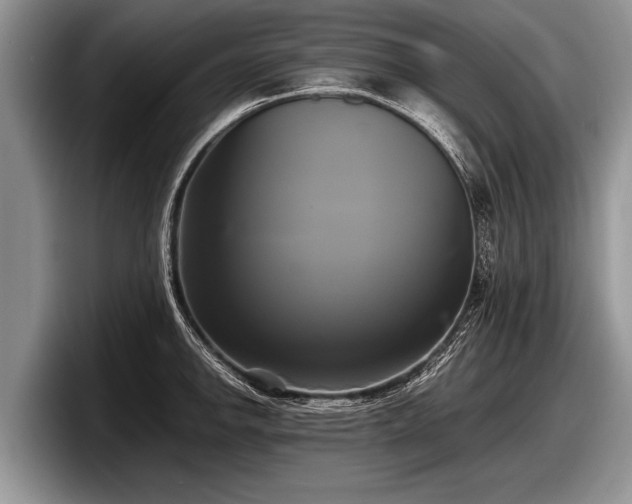 X0000097861142200803211249