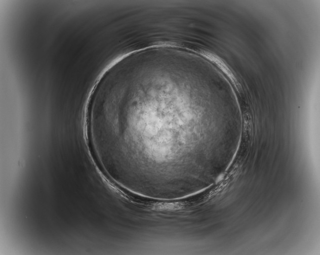 X0000097861143200803211249