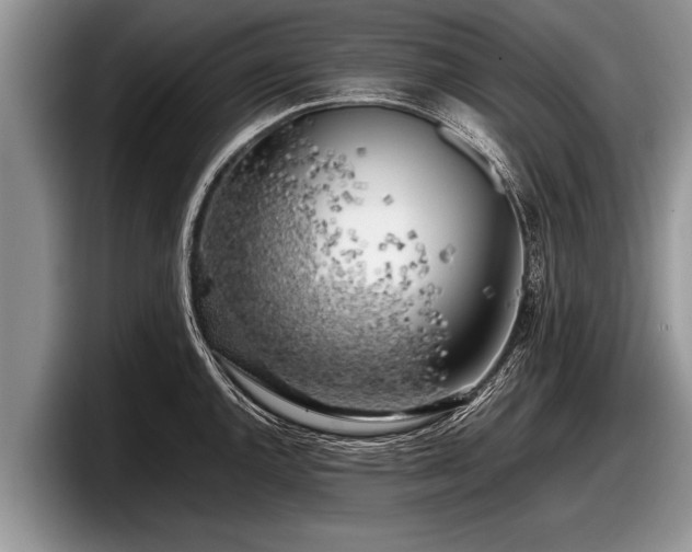 X0000097861144200803211249