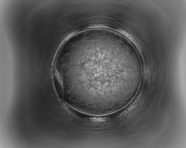 X0000097861145200803211249