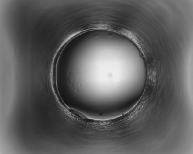 X0000097861147200803211249