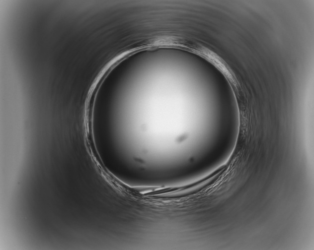 X0000097861148200803211249