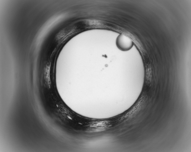 X0000097861150200803211249