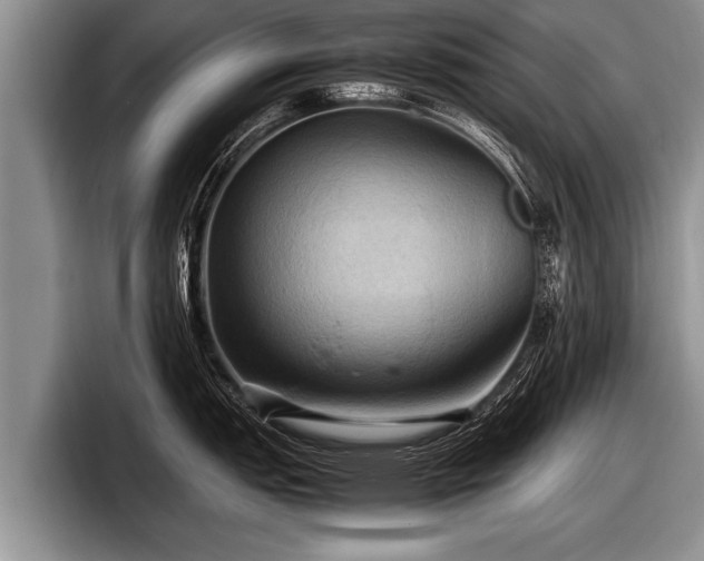 X0000097861151200803211249