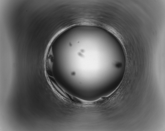 X0000097861152200803211249