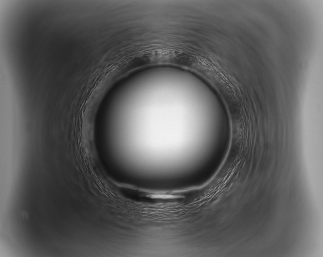 X0000097861153200803211248