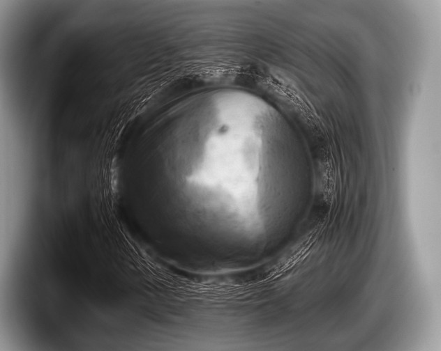 X0000097861154200803211248