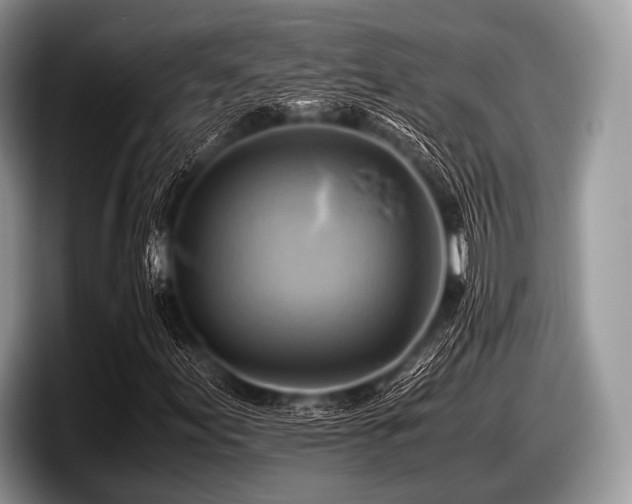 X0000097861155200803211248