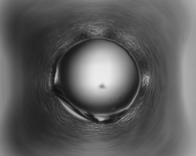 X0000097861156200803211248