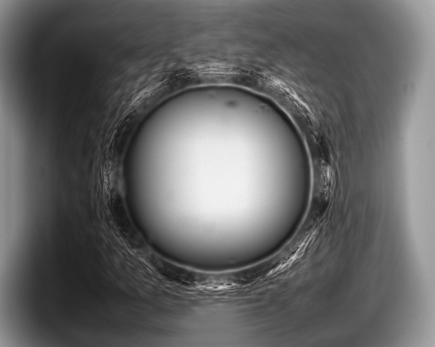 X0000097861157200803211248