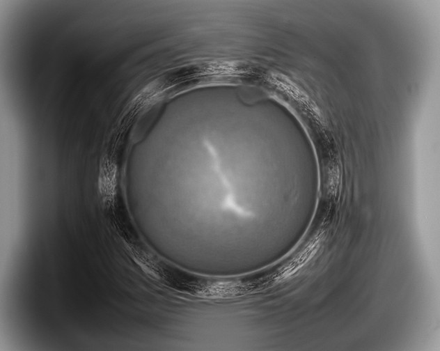 X0000097861161200803211248