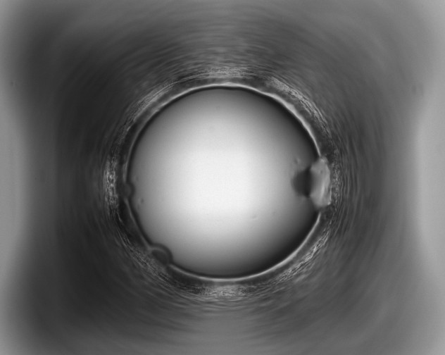 X0000097861162200803211248