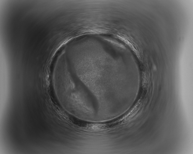 X0000097861163200803211248