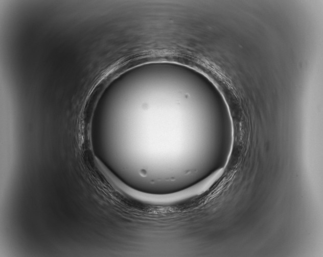 X0000097861165200803211248