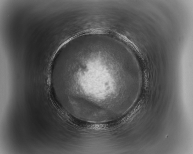 X0000097861166200803211248