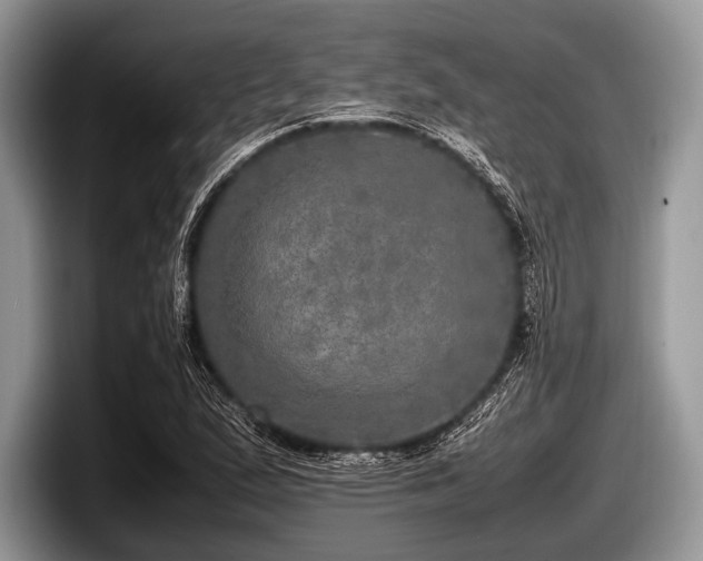 X0000097861167200803211248