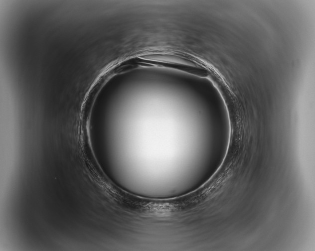 X0000097861168200803211248