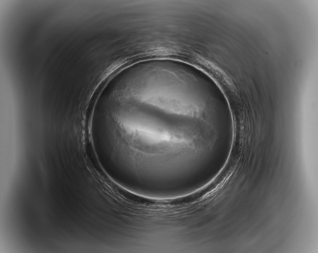 X0000097861170200803211248