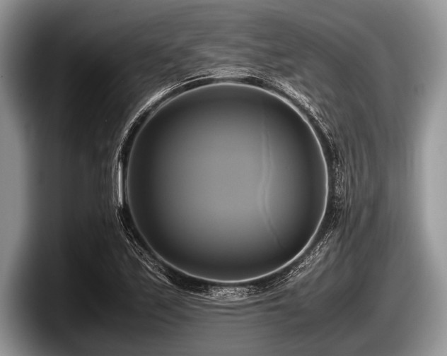 X0000097861171200803211248