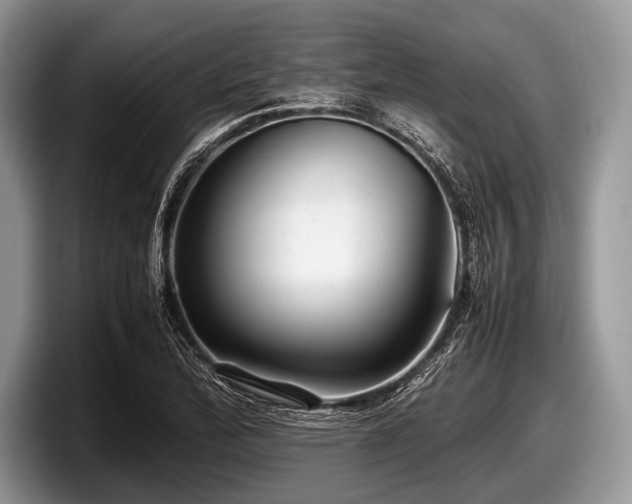 X0000097861172200803211248