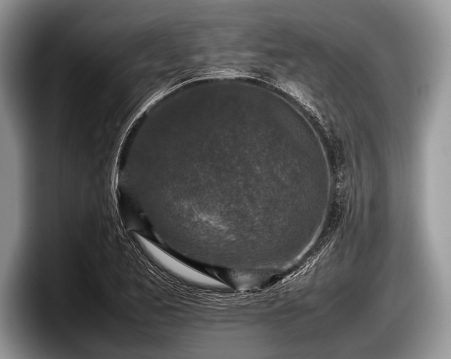 X0000097861173200803211248