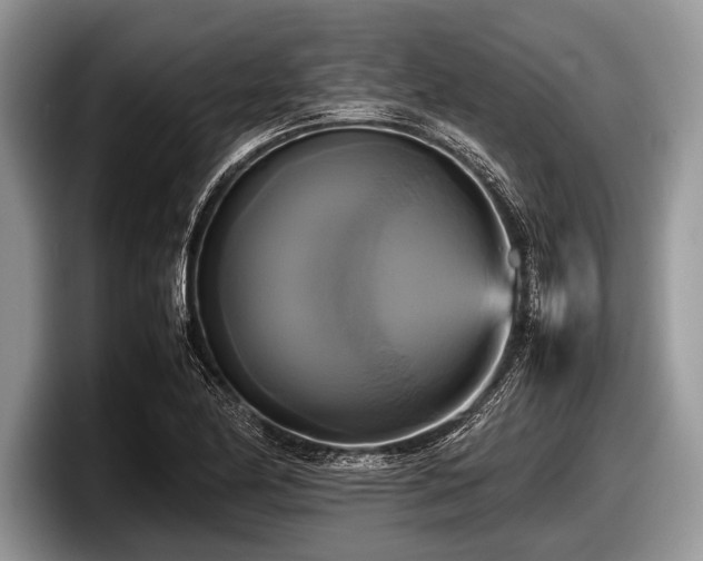 X0000097861174200803211248