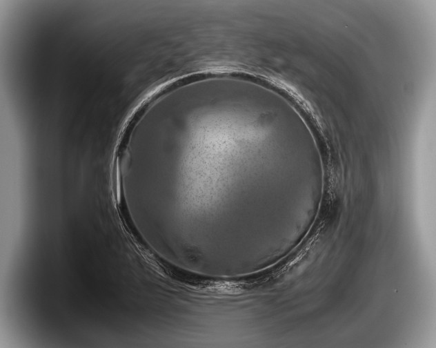 X0000097861175200803211248