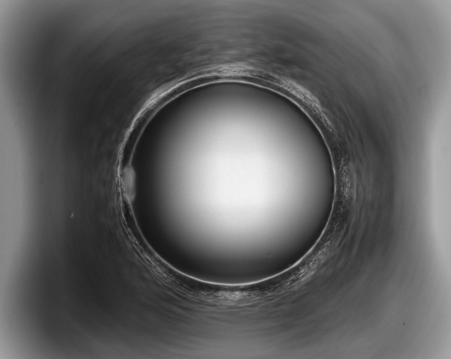 X0000097861176200803211248