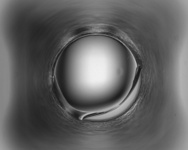 X0000097861177200803211248