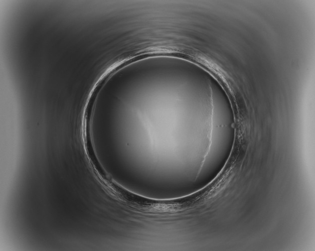 X0000097861179200803211248