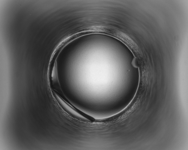 X0000097861180200803211248