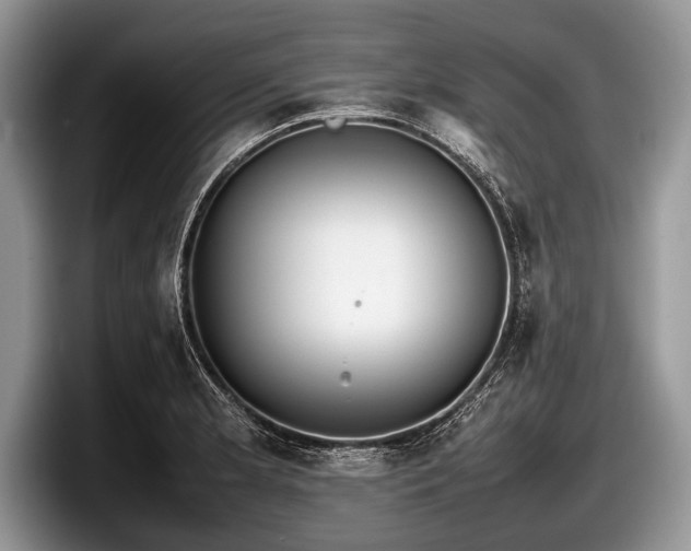 X0000097861181200803211248