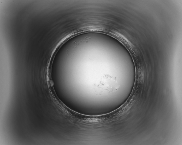 X0000097861182200803211248