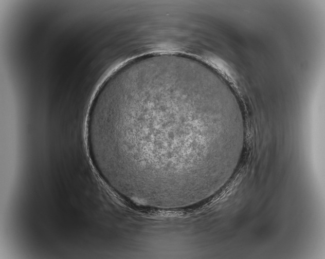 X0000097861183200803211248