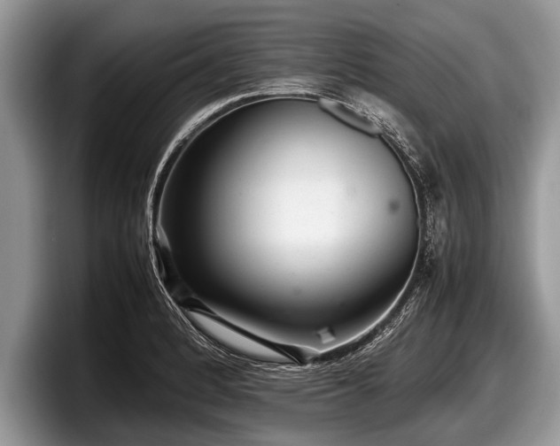 X0000097861184200803211248