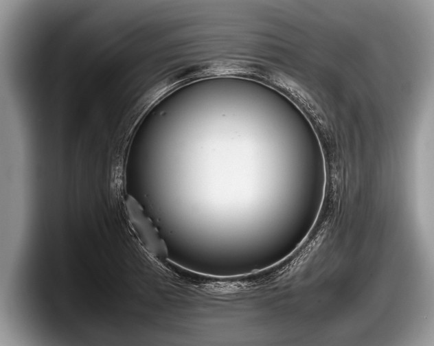 X0000097861185200803211248