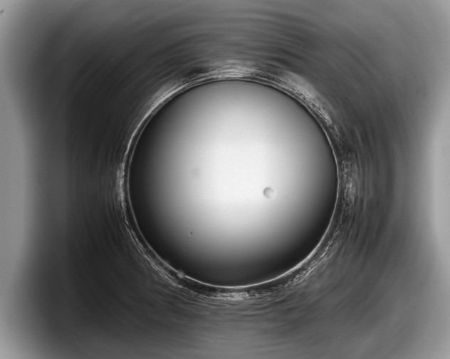 X0000097861186200803211248