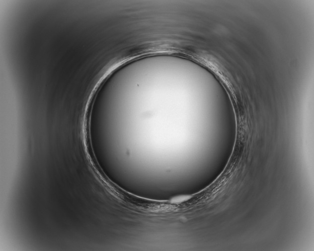 X0000097861187200803211248