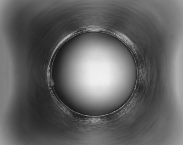 X0000097861190200803211248