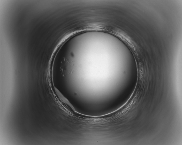 X0000097861192200803211248