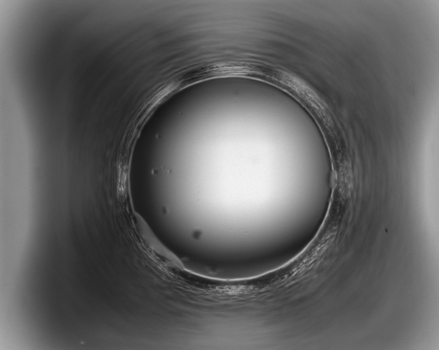 X0000097861193200803211248