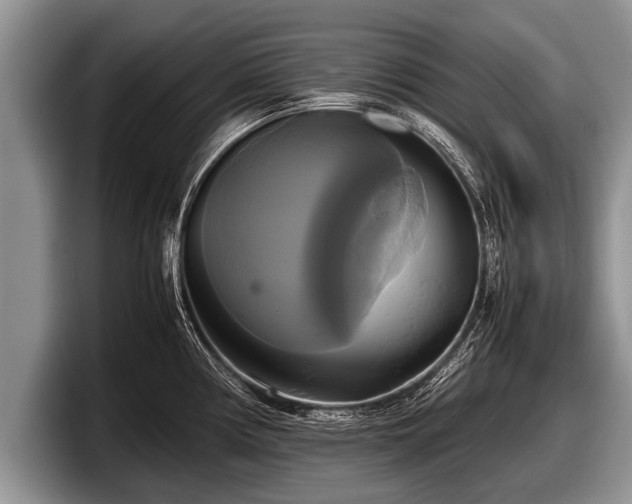 X0000097861194200803211248