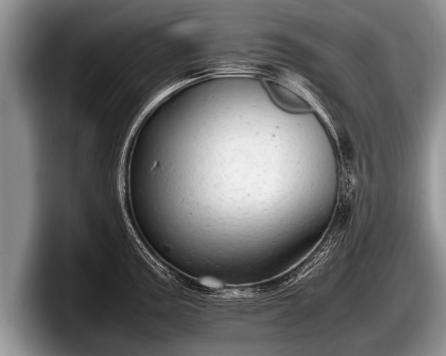 X0000097861195200803211248