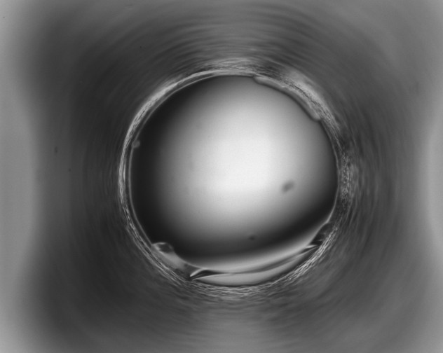 X0000097861196200803211248