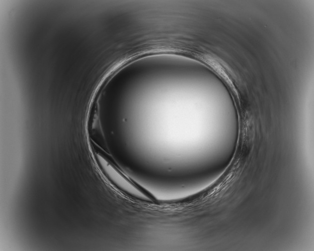 X0000097861197200803211248