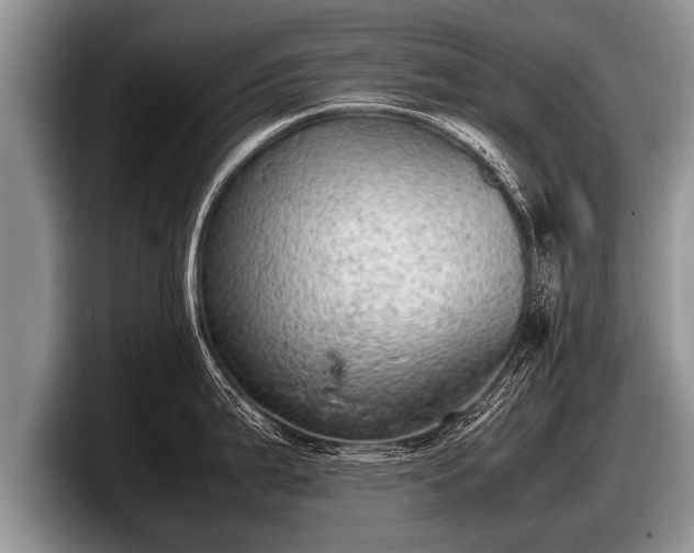 X0000097861199200803211248