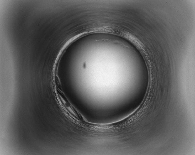 X0000097861200200803211248