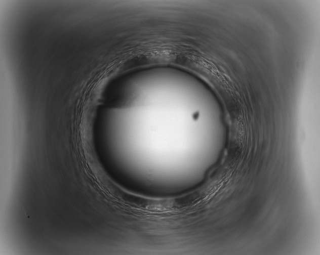 X0000097861201200803211247