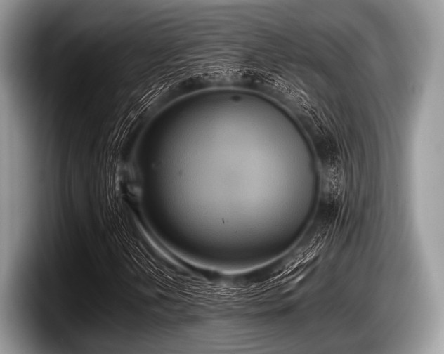 X0000097861202200803211247