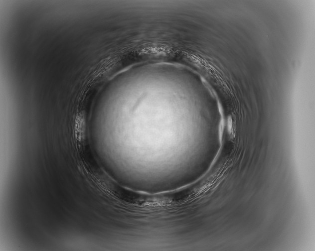 X0000097861203200803211247